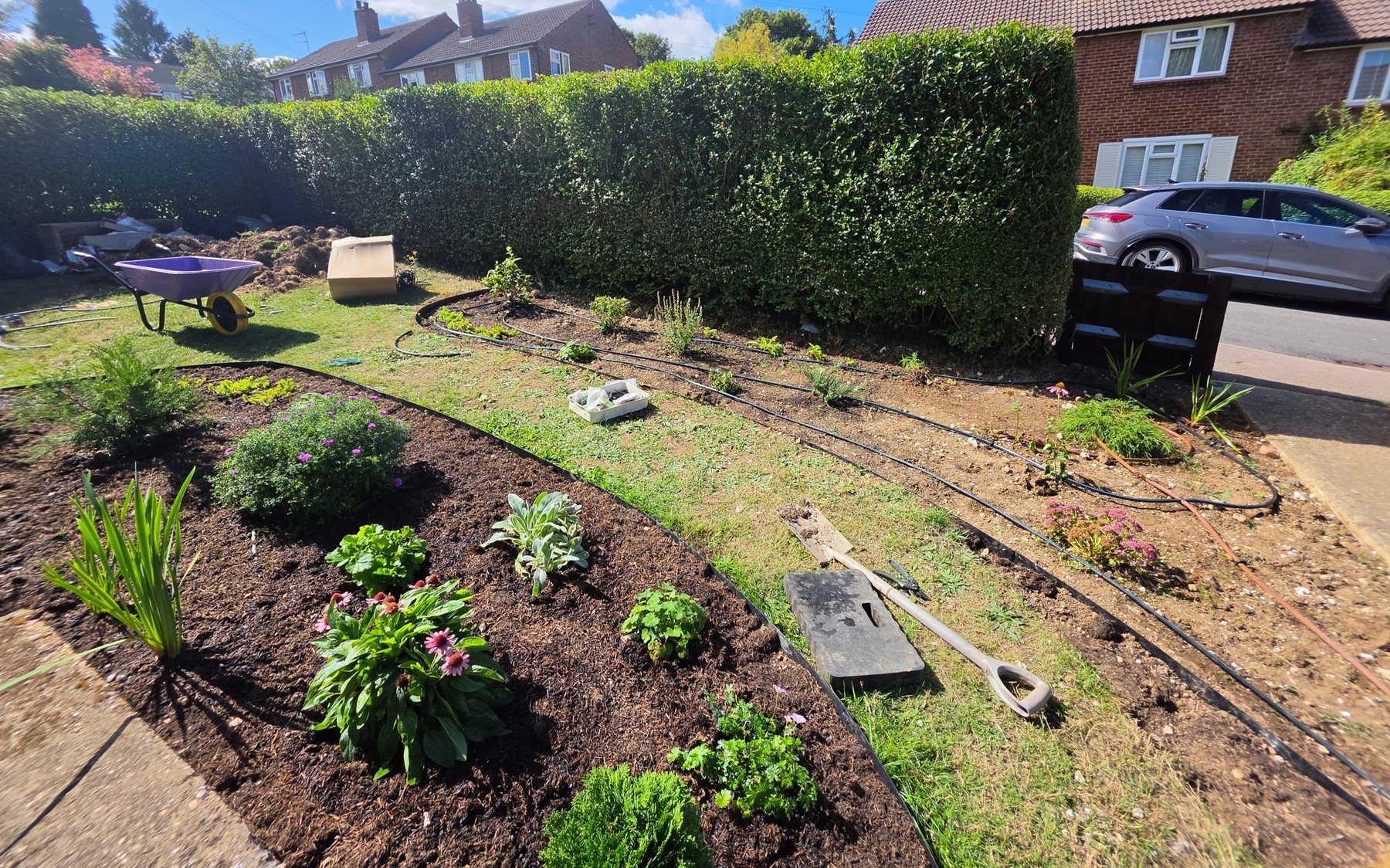 New front garden beds with young planting, mulch and drip irrigation lines