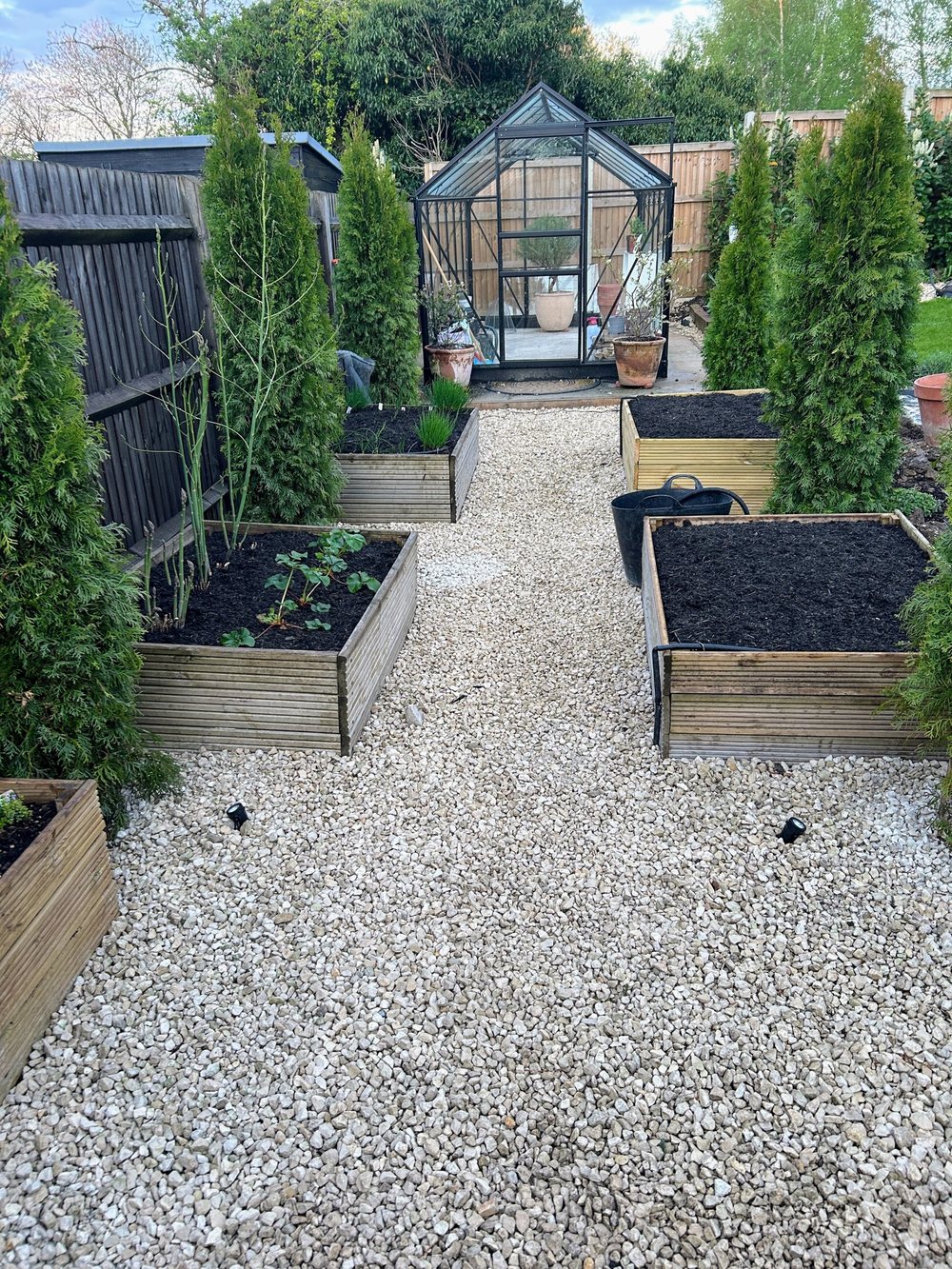 After: raised vegetable beds either side of a gravel path leading to a greenhouse
