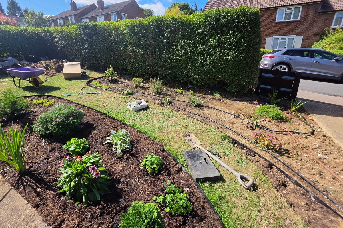 New garden beds with black drip irrigation lines laid across the soil