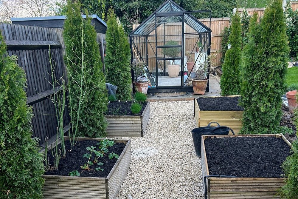 Raised vegetable beds either side of a gravel path leading to a greenhouse